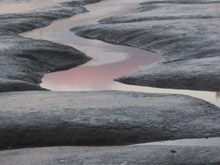 Forth mud